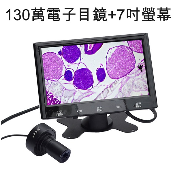 5Cgo 531972867639 7吋螢幕+130萬像素電子目鏡 顯示器接顯微鏡觀察  xtl-165-vt 可用 AGL62300