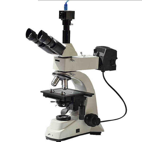 5Cgo 549042731402 金相專業顯微鏡正置光學顯微鏡線路金屬粉末原礦粉測晶粒度光學放大40-800倍 XMJ00240