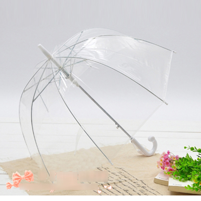5Cgo  17091800146  日本韓國兒童幼兒雨傘創意公主傘超拱安全透明傘長柄傘 YAN22000