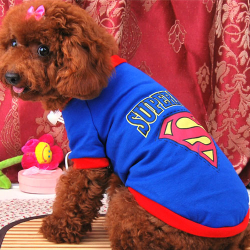 5Cgo 10652169976 超人狗狗衣服 單層背心T恤寵物衣服 泰迪雪納瑞 貴賓服裝 MIK99000