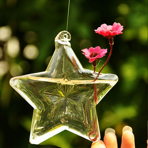 5Cgo 27051240627 創意田園幸運星透明玻璃花瓶 時尚水培花器 家居裝飾工藝品(5個) SHM41000